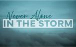 Never Alone In The Storm (151197)