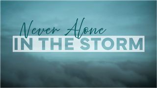 Never Alone In The Storm