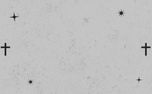 Isaiah Motion 5 (151662)