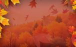 Warm Autumn Colors (151681)