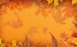 Warm Autumn Colors (151686)