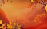 Warm Autumn Colors (151688)