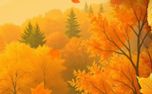 Warm Autumn Colors (151692)