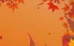 Warm Autumn Colors (151694)