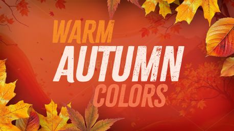 Warm Autumn Colors (151700)