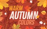 Warm Autumn Colors (151701)