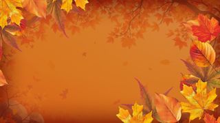 Warm Autumn Colors Motion 5
