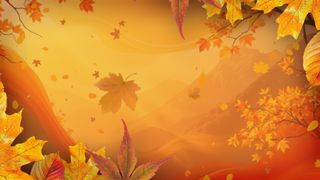 Warm Autumn Colors Motion 10