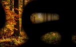 Autumn Flow 2 (151758)