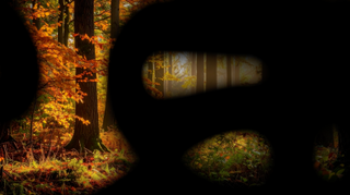 Autumn Flow 2