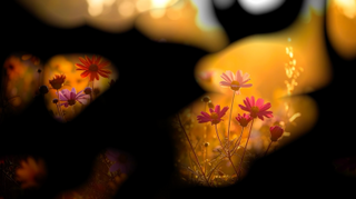 Autumn Flow 3