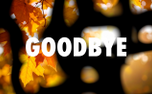 Autumn Flow Goodbye (151762)