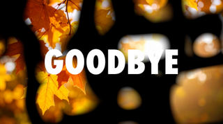 Autumn Flow Goodbye
