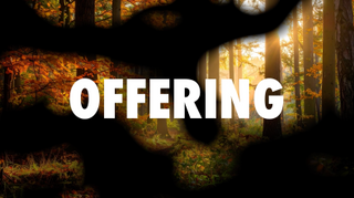 Autumn Flow Offering