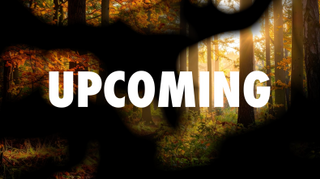 Autumn Flow Upcoming