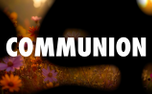 Autumn Flow Communion (151768)
