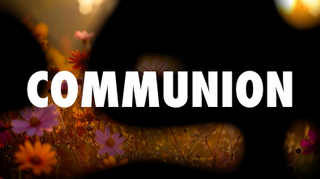 Autumn Flow Communion