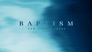 Fall Afresh : Baptism