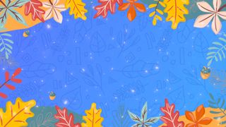  Fall Festival Essentials 2