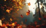Autumn Leaves Falling (152026)