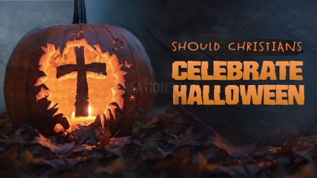 Handling Halloween (152031)