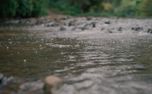 River Sunrise (152324)