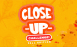 Closeup Challenge: Fall  (152367)