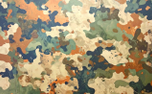 Camo 1 (152372)