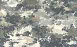Camo 2 (152374)