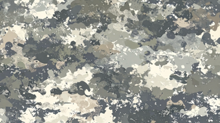 Camo 2