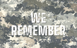 Camo We Remember (152385)