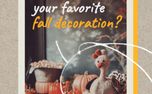 Favorite Fall Decoration (152395)