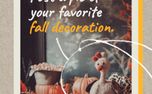 Favorite Fall Decoration (152398)