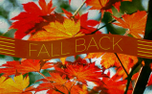 Grunge Autumn Fall Back (152496)