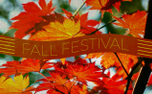 Grunge Autumn Fall Festival (152498)