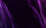 Digital Mesh Graphics (152632)