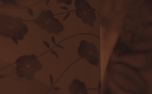 Autumn Fabrics (152747)