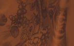 Autumn Fabrics Slides Pack (152768)