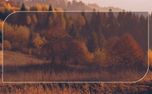 Enter His Gates With Thanksgiv (152895)