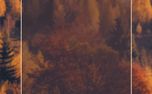 Enter His Gates With Thanksgiv (152900)