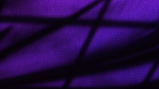 Dark Flag 1