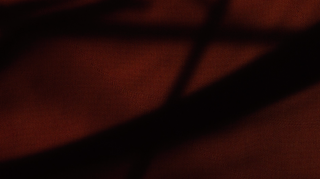 Dark Flag 6