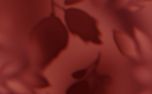 Velvet Fall : Loop 01 (153042)
