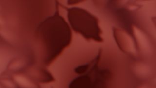 Velvet Fall : Loop 01