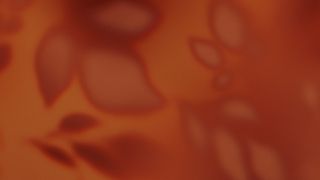 Velvet Fall : Loop 02