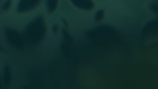 Velvet Fall : Loop 04