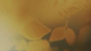 Velvet Fall : Loop 06