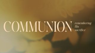 Velvet Fall : Communion