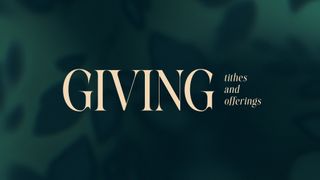 Velvet Fall : Giving
