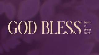 Velvet Fall : God Bless